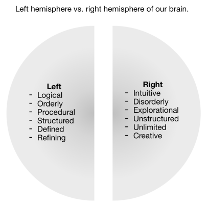 Left and Right Hemispheres of the Brain